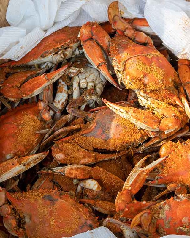 Image for Maryland Seafood Festival
