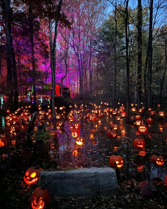 Glowing jack-o'-lanterns lining a wooded trail at the Halloween Fair at night
