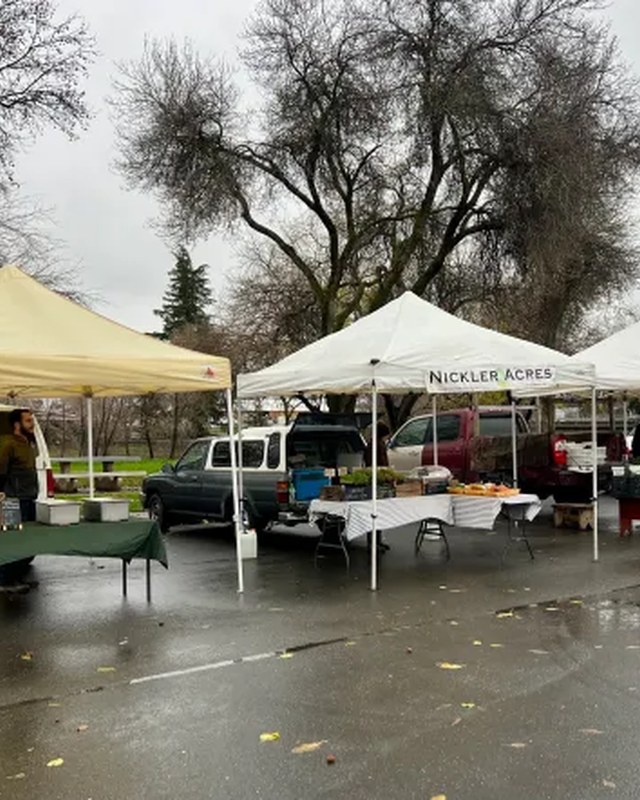Image for Saturday Market by the River