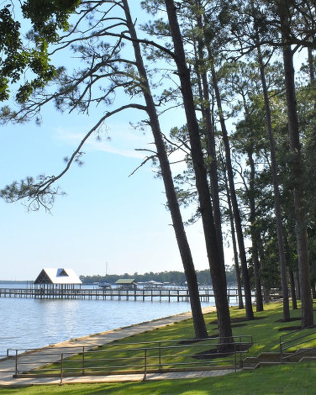 Image for Orange Beach Pop-Up Farmers Market