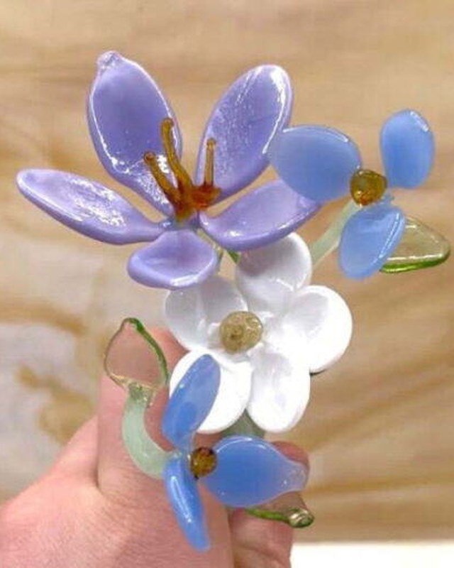 Image for Cape and Islands Orchid Society Annual Show