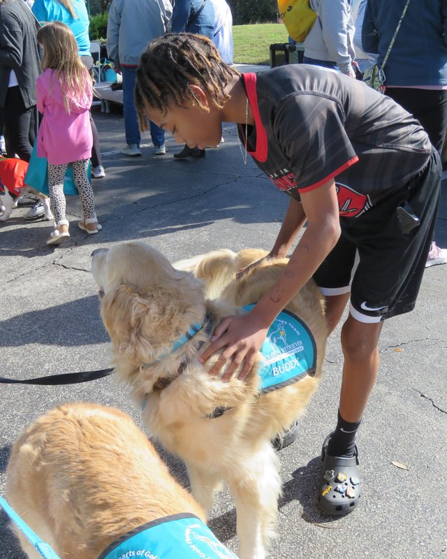 A boy in a dark shirt petting a golden retriever at a crowded outdoor dog event.