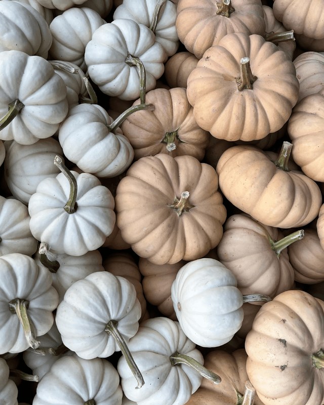 Image for Dutch Hollow Farms Fall Craft Fair