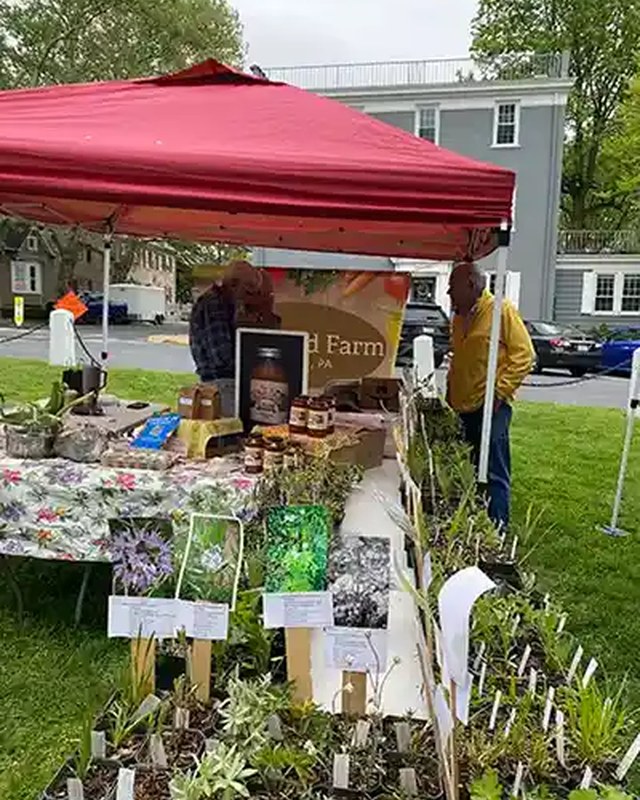 Image for Nazareth Farmers Market