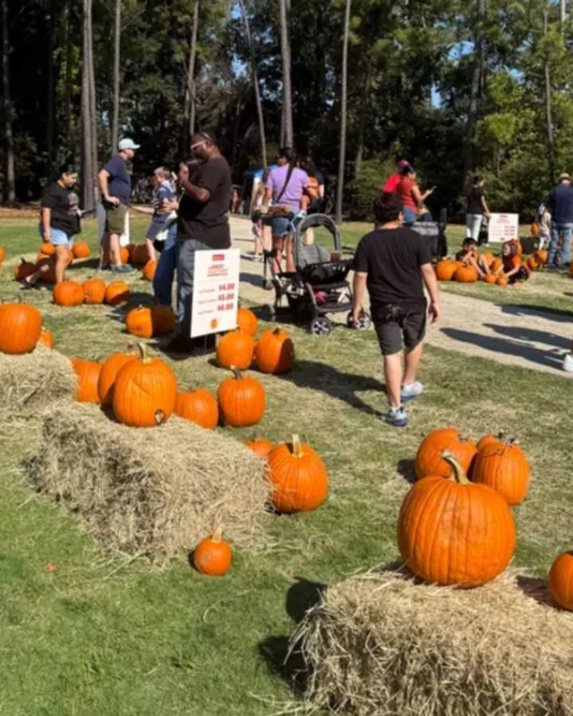 Image for Valley Ranch Fall Fest
