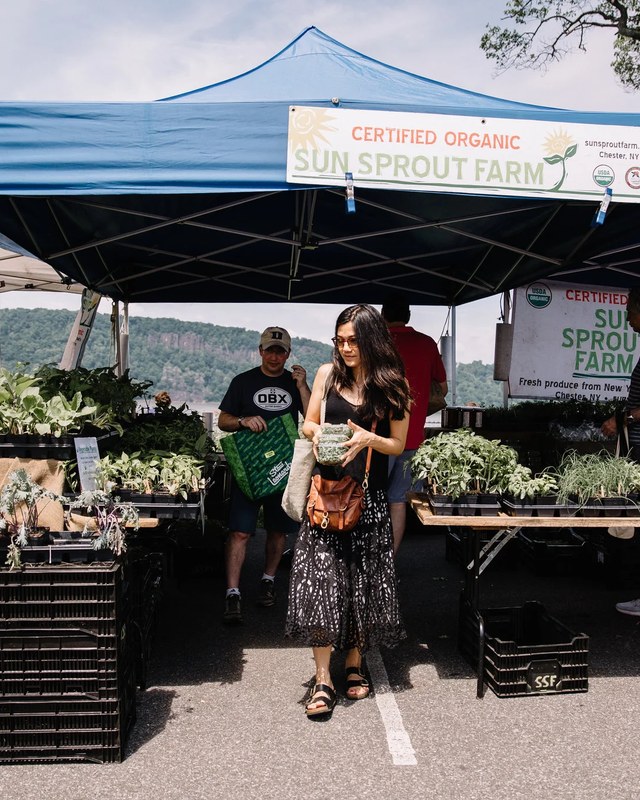 Image for Hastings Farmers' Market