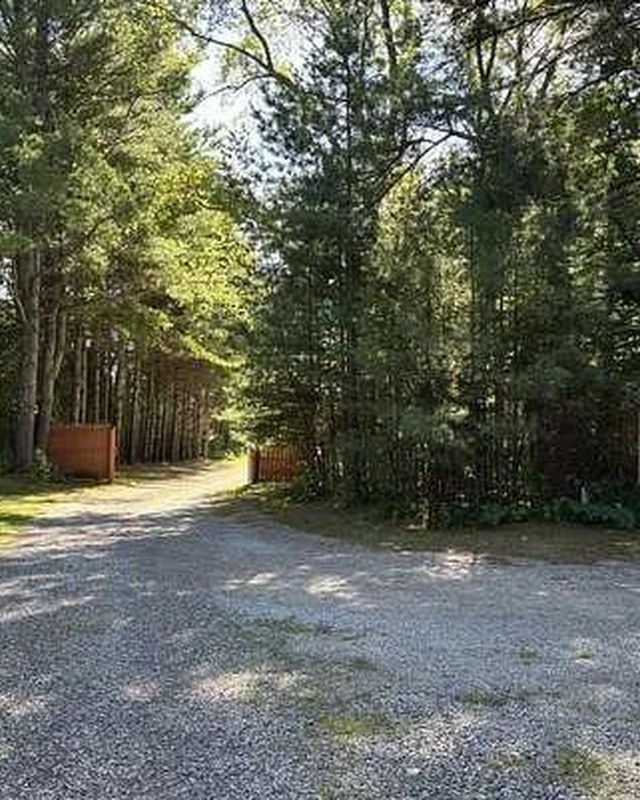Image for Huron Pines Campground Night Market