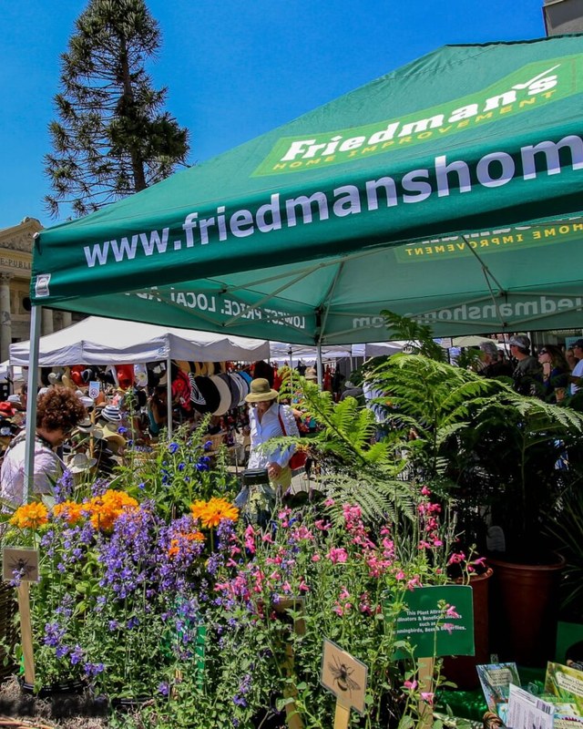 Image for Petaluma Art & Garden Festival