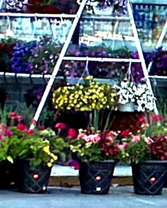 Image for Moonlight Market