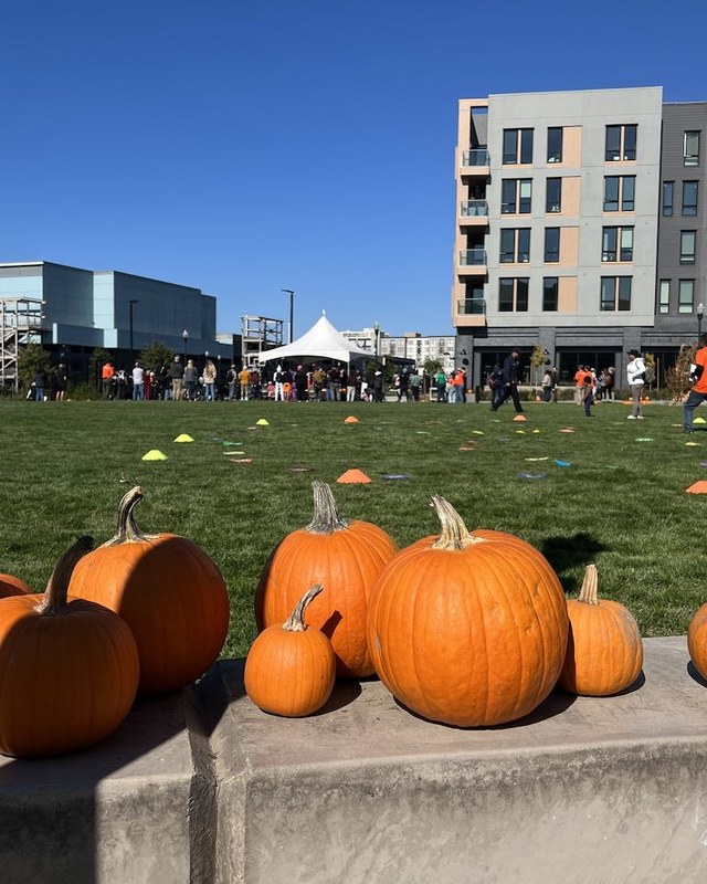 Image for Emeryville Harvest Festival