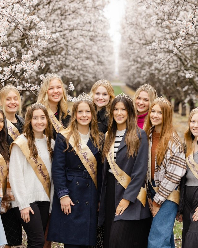 Seven young women in gold sashes posing together among blossoming almond trees, the Ripon Almond Blossom Queen court.