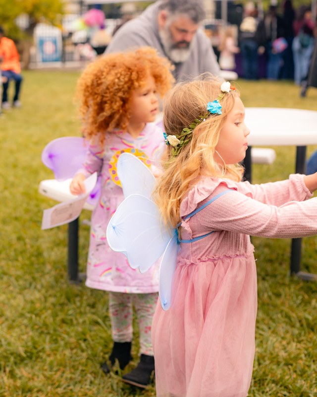 Image for 2026 Spring Fae Festival (3rd Annual)