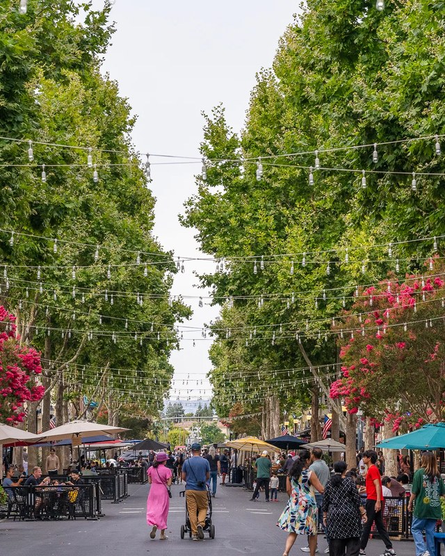 Image for Mountain View Makers Market