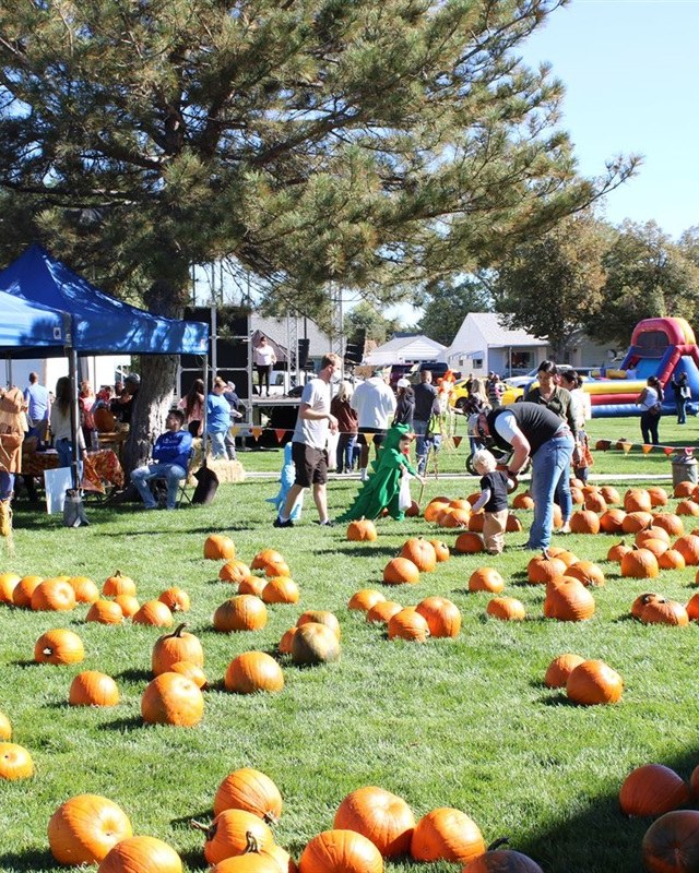 Image for Commerce City Fall Fest