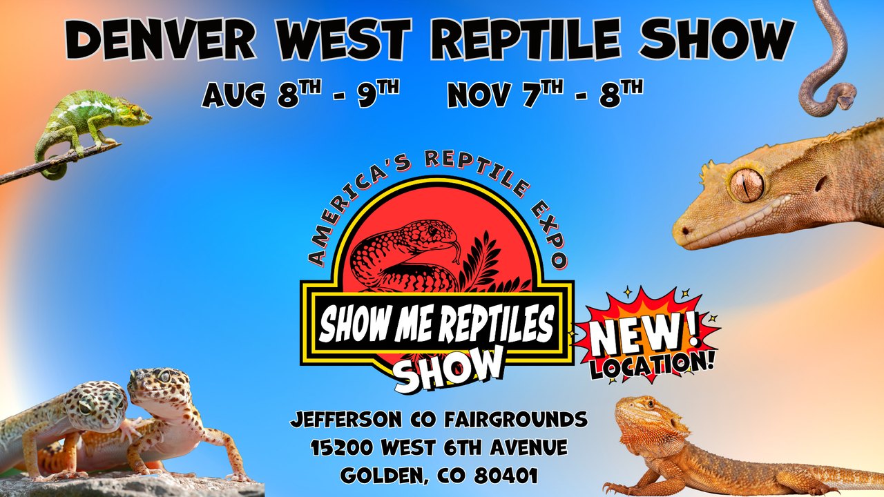 Flyer for the Denver West Reptile Show with Nov 7-8 dates at Jeffco Fairgrounds, Golden
