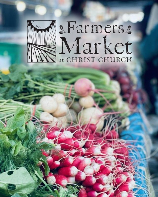 Farmers Market at Christ Church graphic over a display of radishes at a market stall.