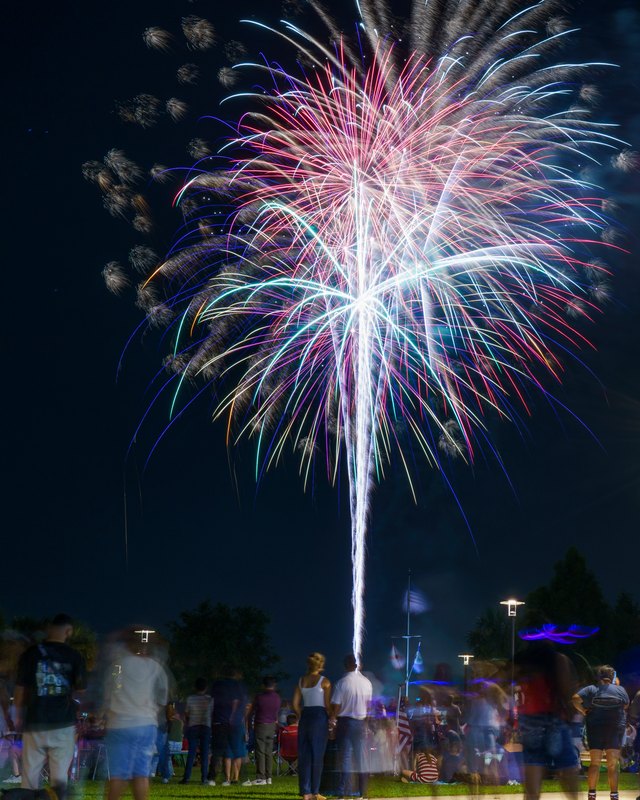 Colorful fireworks burst over a crowd at a park at night. No lake is clearly visible, so 'lakefront' is removed.