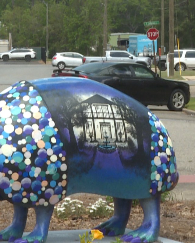 Image for World Famous Armadillo Festival