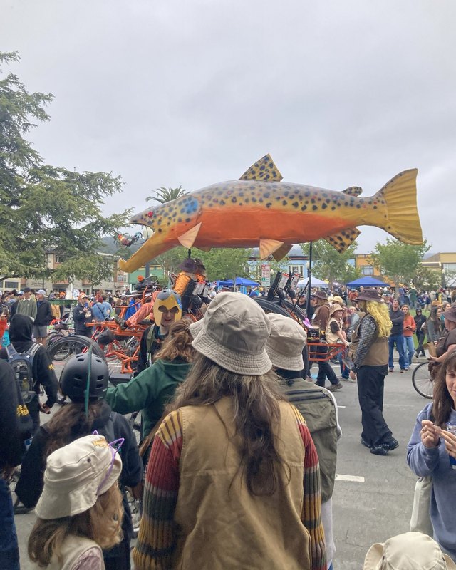 A giant fish puppet rises above a crowd on a street during a parade