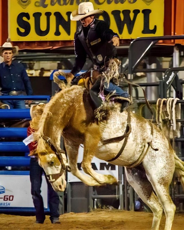 Image for Spring Round-Up Rodeo