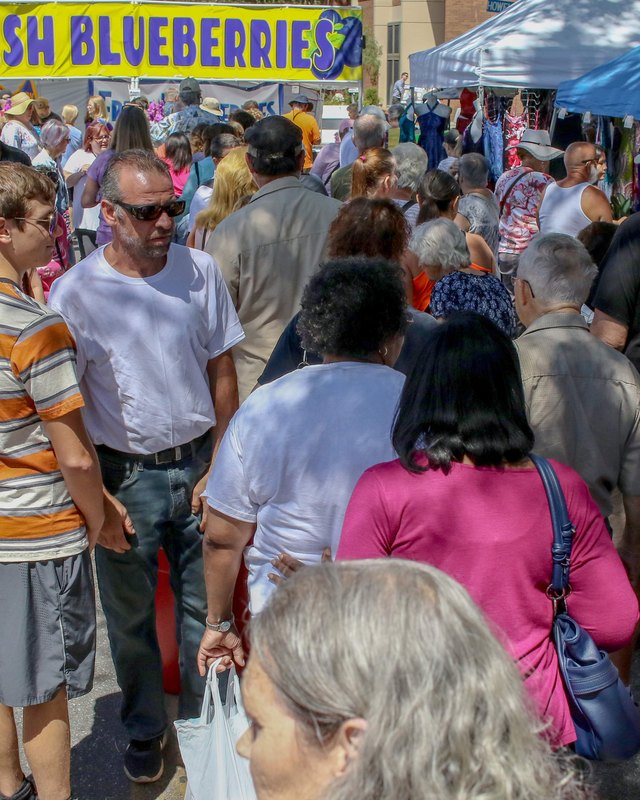 Crowd of shoppers walking past festival tents and a fresh blueberries sign at the Brooksville Blueberry Festival