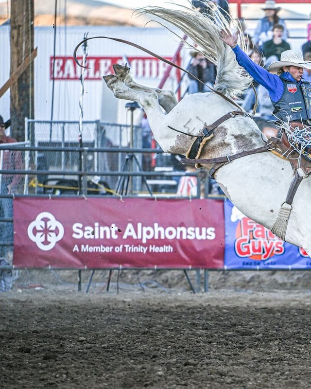Bronc rider on a white horse in front of a crowd at the Eagle Rodeo arena