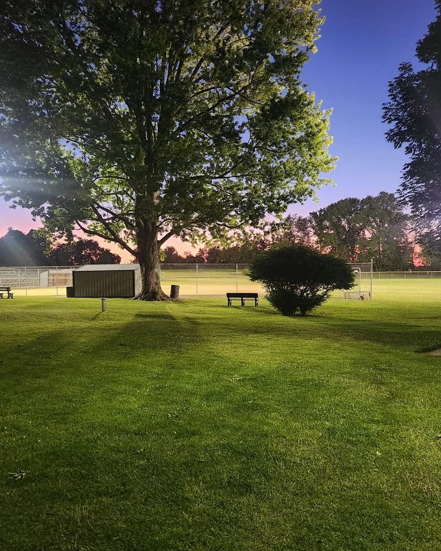 Image for Woodland Homecoming