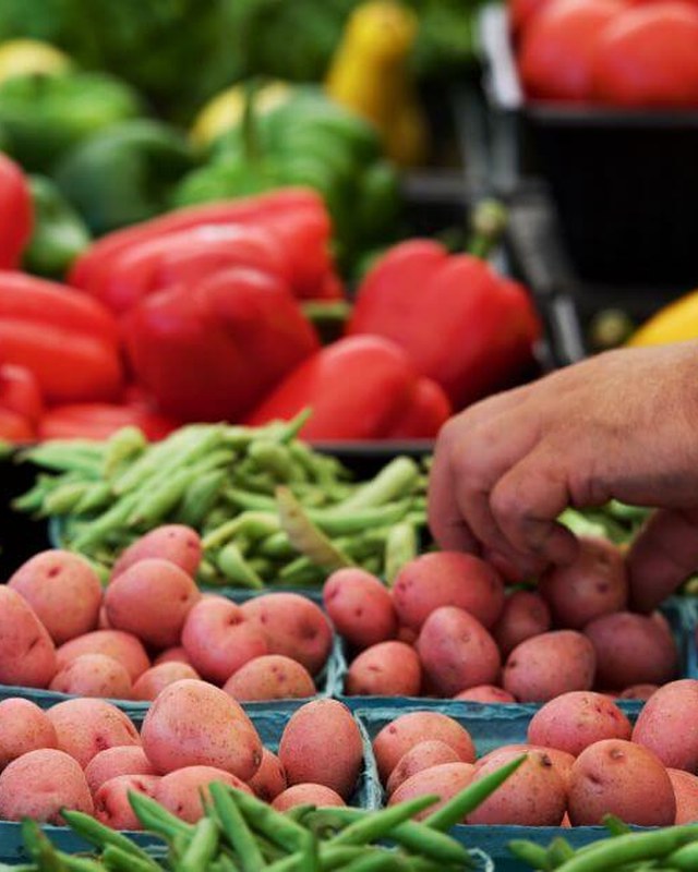 Image for Hamilton's Historic Farmers Market