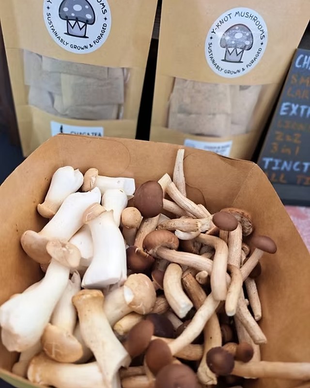 Image for South Kingstown Farmers Market