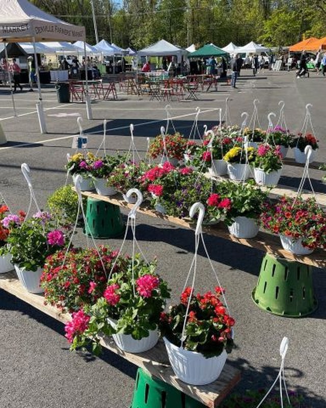 Image for Denville Farmers' Market