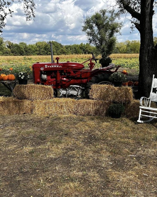 Image for Mundell's Pumpkin Patch 2026 Pumpkin Festival