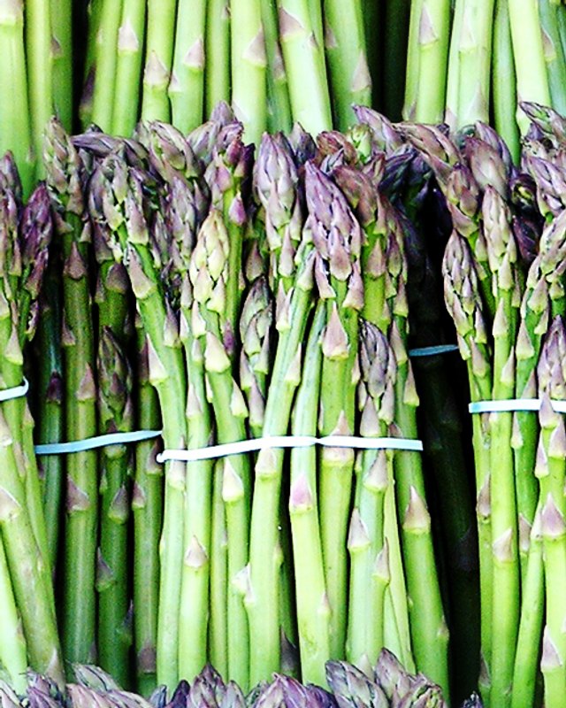 Bundles of fresh green and purple asparagus spears tied together with blue elastic bands.