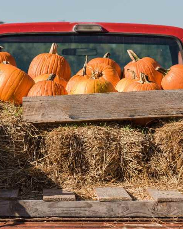 Image for Herbstfest (German Day Cleveland)