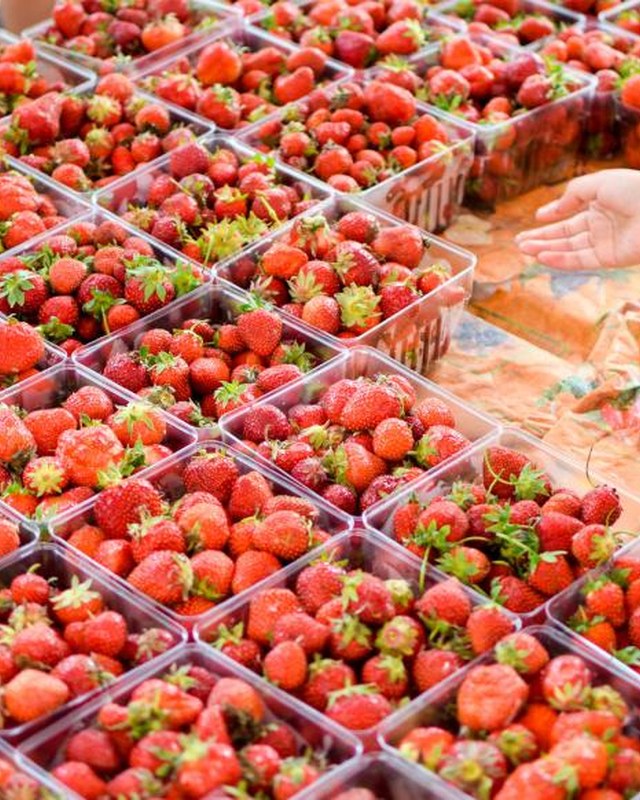 Image for Dane County Farmers' Market - Saturday on the Square
