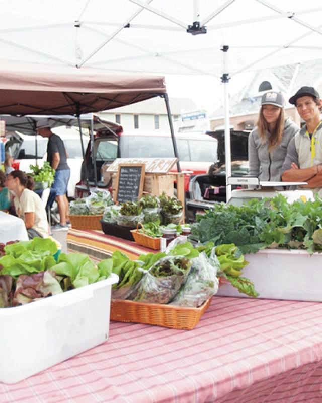 Image for Bayfield Farmers' Market