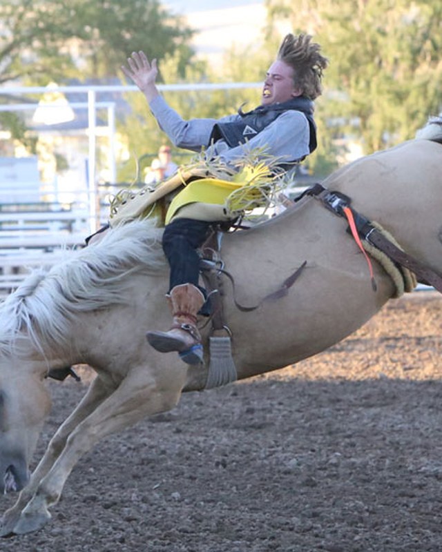 Image for Bannock County Fair & Rodeo