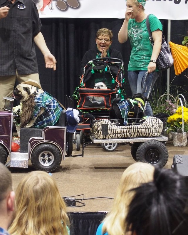 Image for 17th Annual Reno Pet Show & Pug Parade