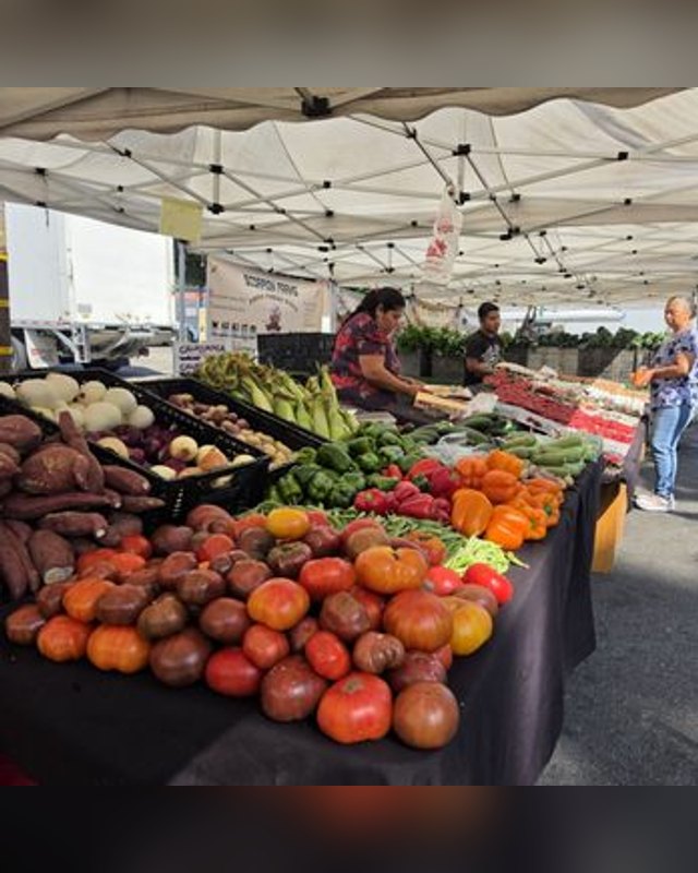 Produce booth with tomatoes, peppers, squash and sweet potatoes under a white tent at a farmers market.