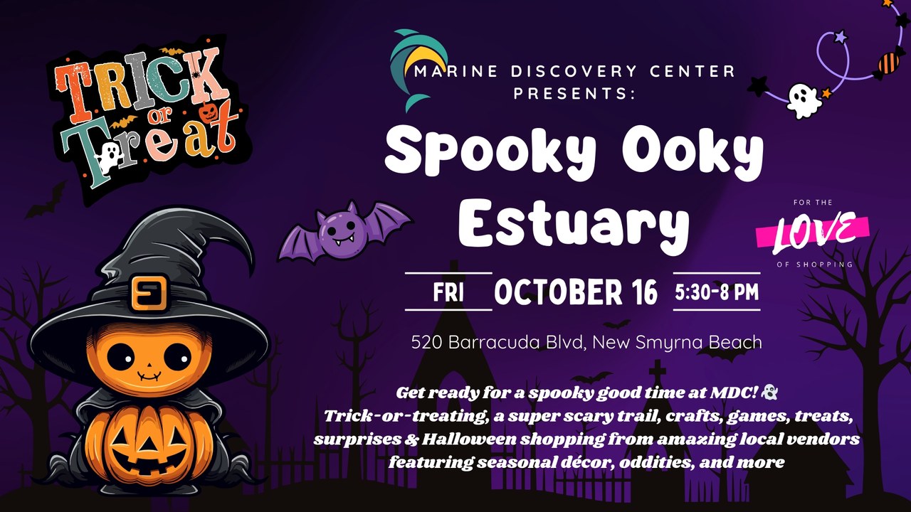 Image for Spooky Ooky Estuary