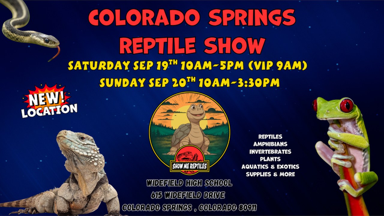 Image for Colorado Springs Reptile Show