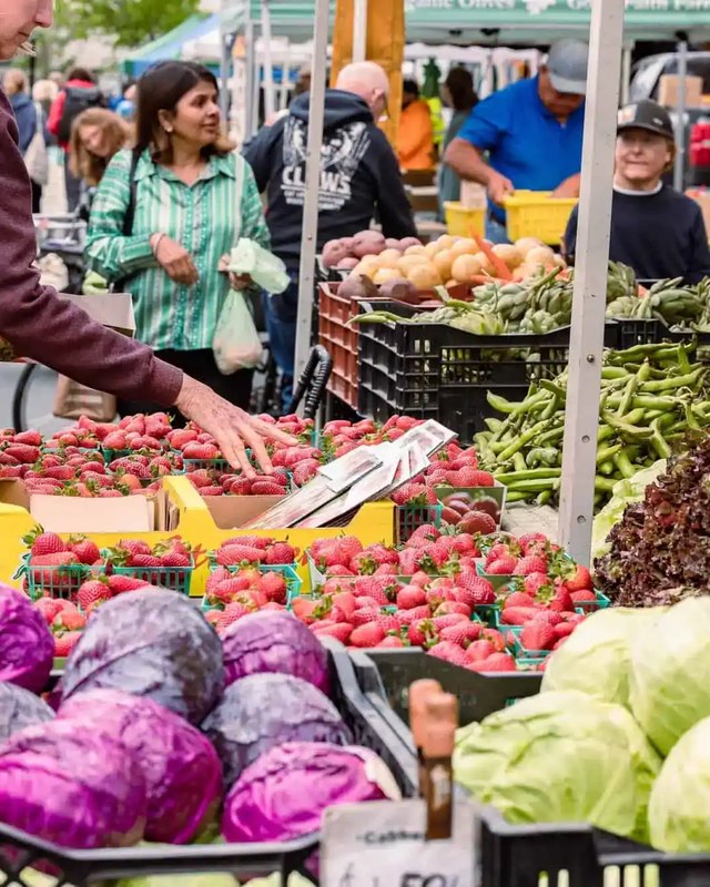 Image for Albany Farmers' Market
