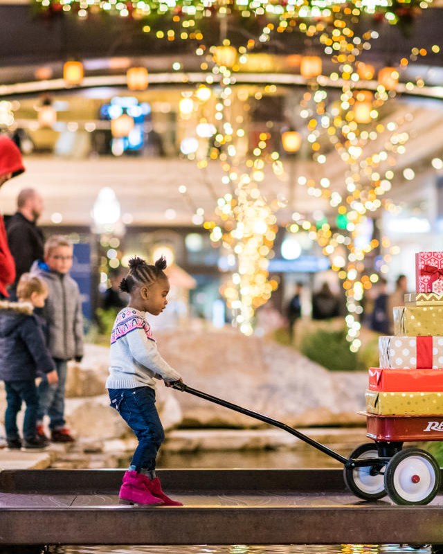 Image for Salt Lake Family Christmas Gift Show