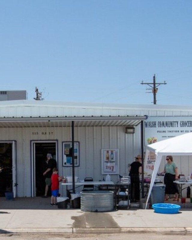 Image for Walsh Days