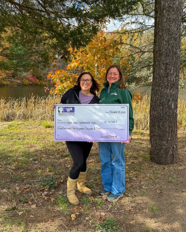 Image for Killingworth Town Picnic at Deer Lake