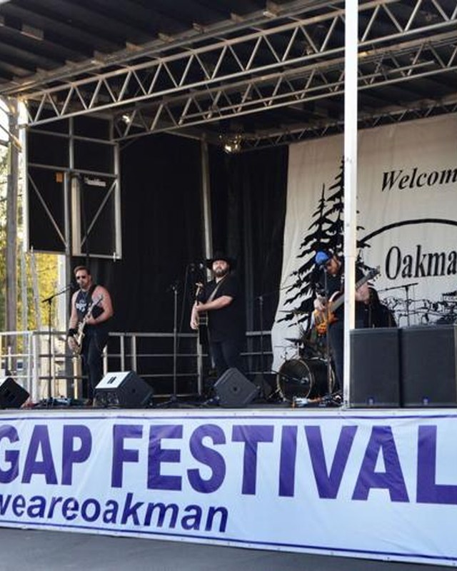 Image for Day's Gap Festival
