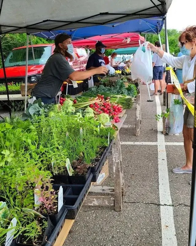 Image for Bethel Park Farmers' Market