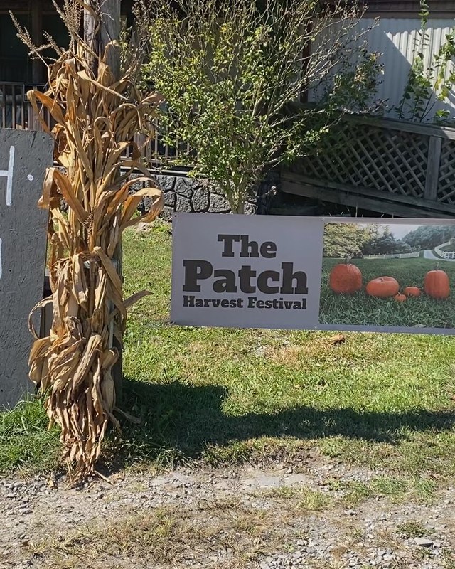 Image for The Patch: Harvest Festival