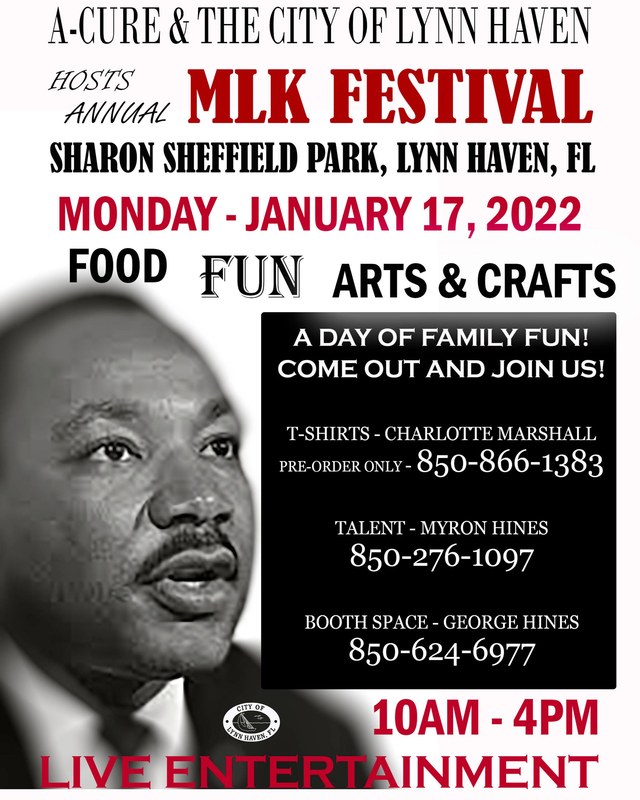 Image for Annual MLK Festival