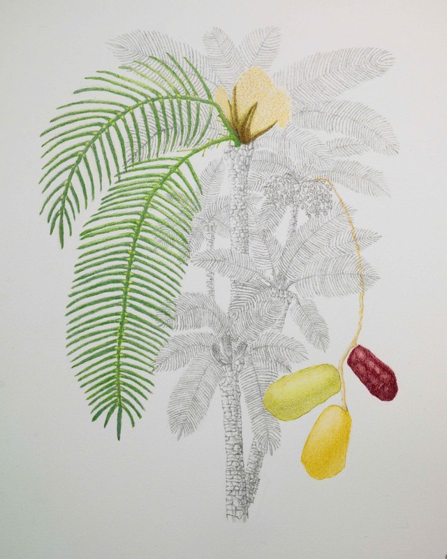 Image for Resurrection Parish Arts & Crafts Show