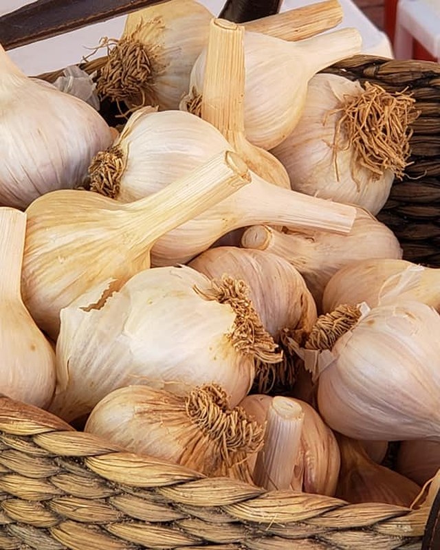 Image for The Frederick City Market